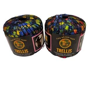 Lion Brand Trellis Rainbow Lacy Ribbon Yarn Lot of 2 Skeins Discontinued New